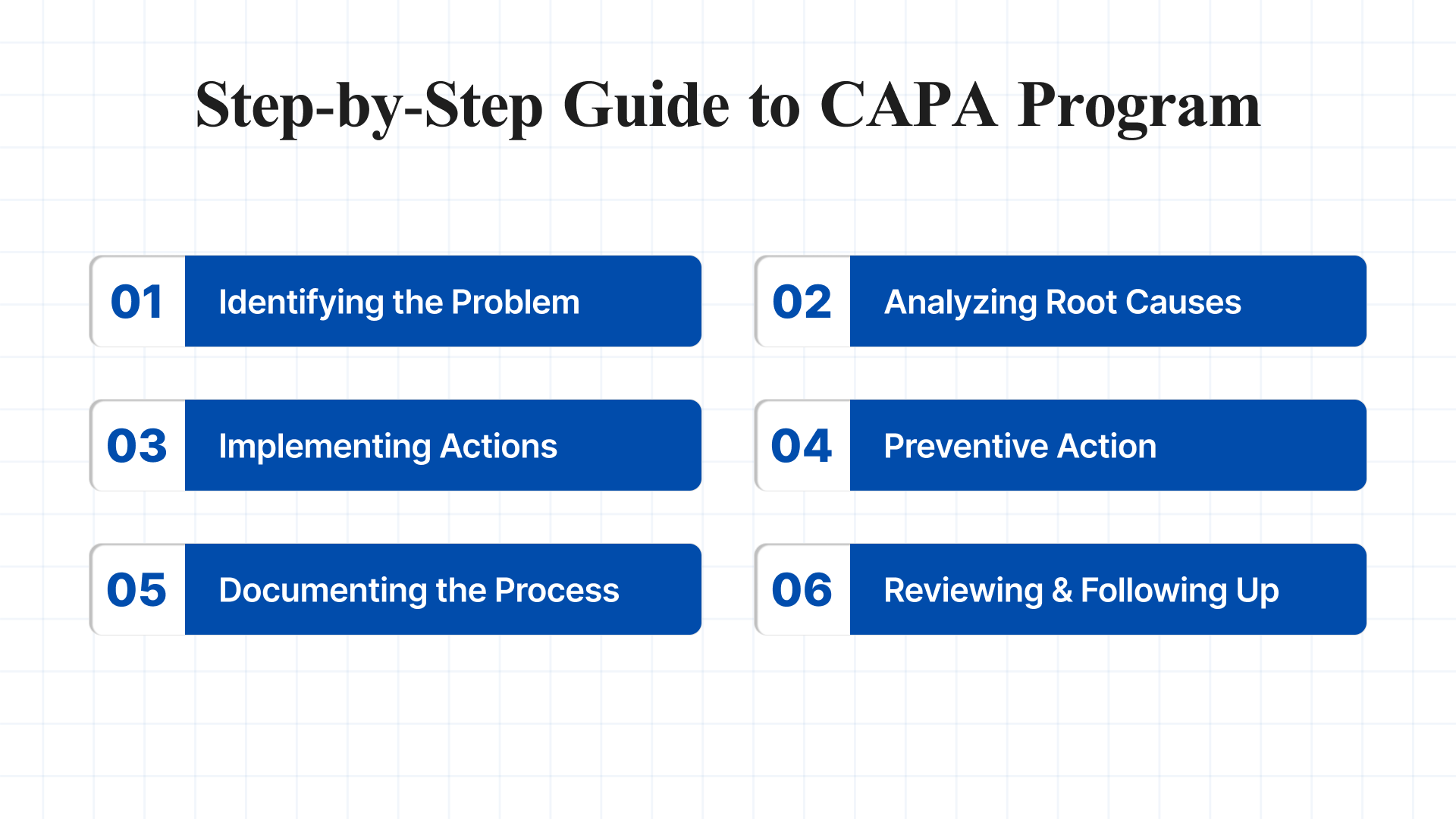Step-by-Step Guide to a Successful CAPA Program